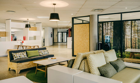 milkwood office park - fmi office interior